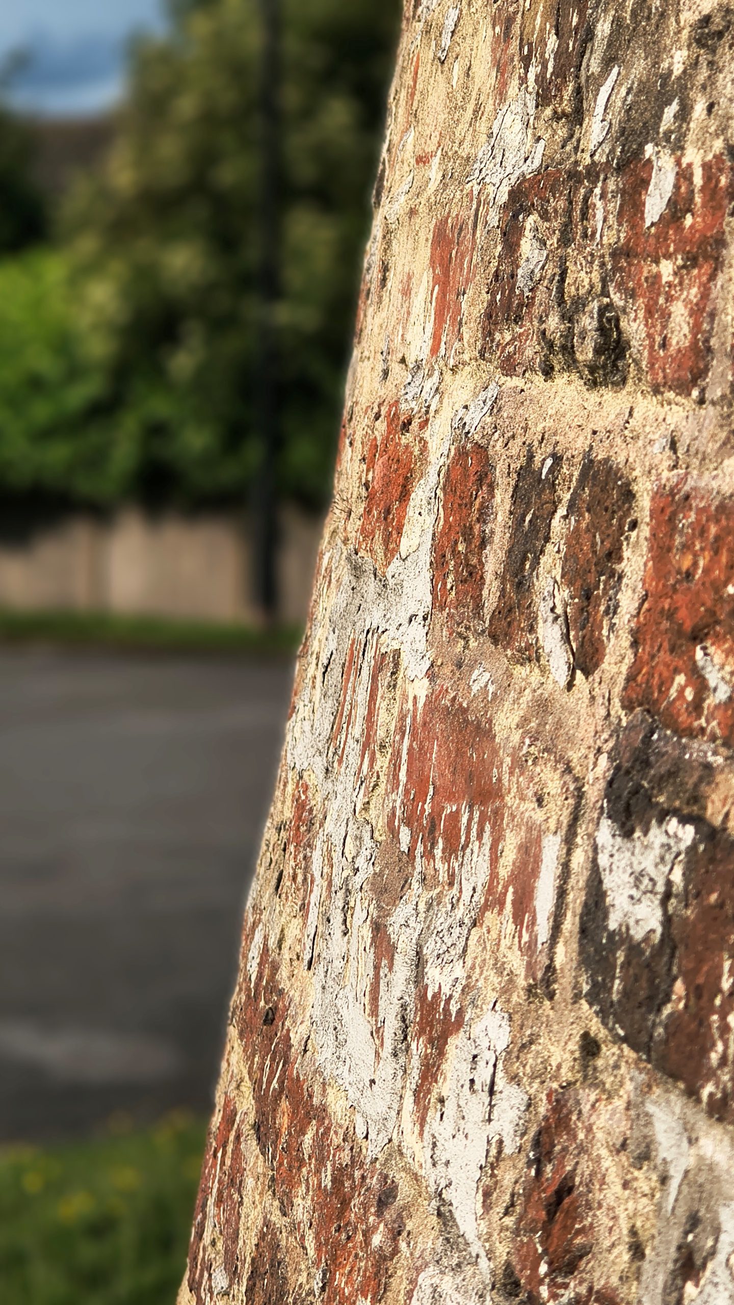 ThinkPhone 25   Review.