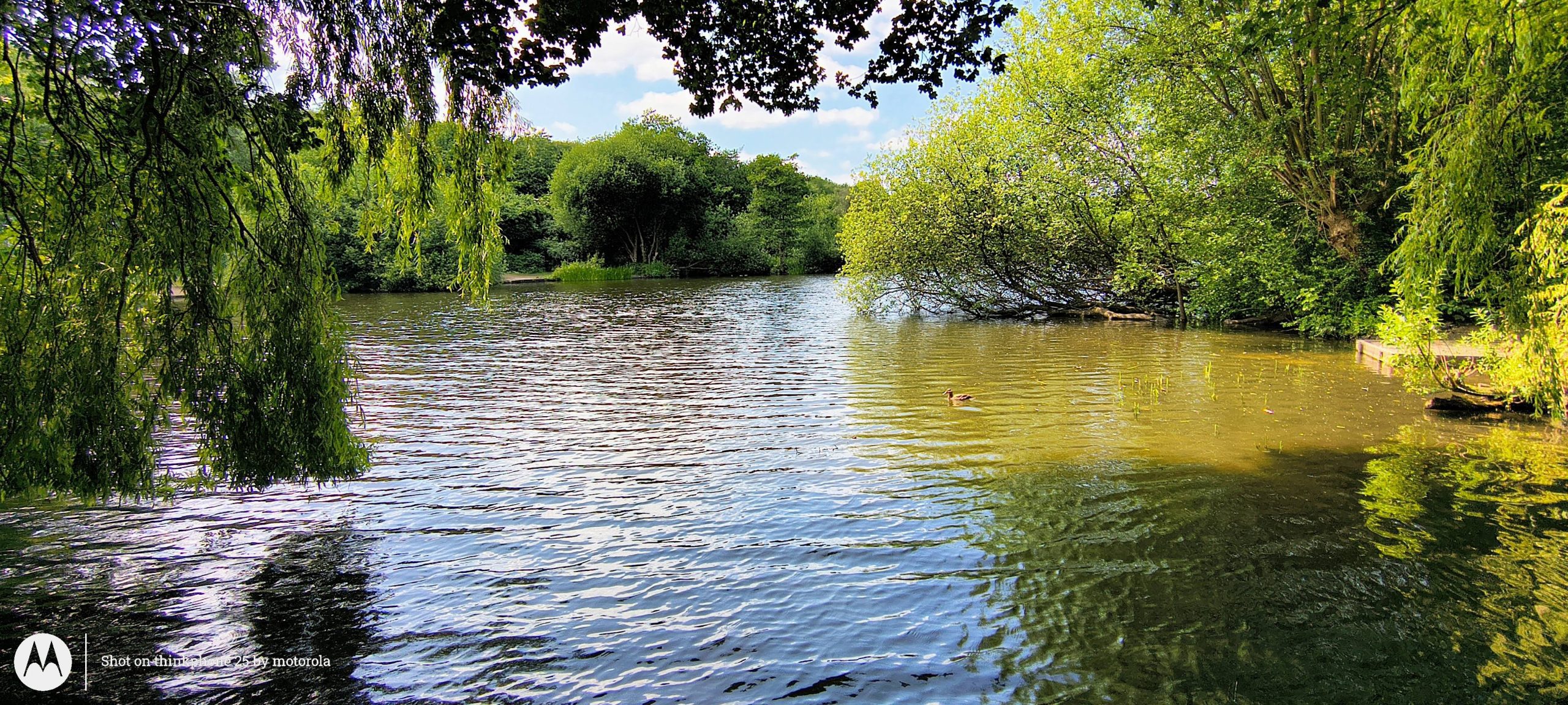 ThinkPhone 25   Review.