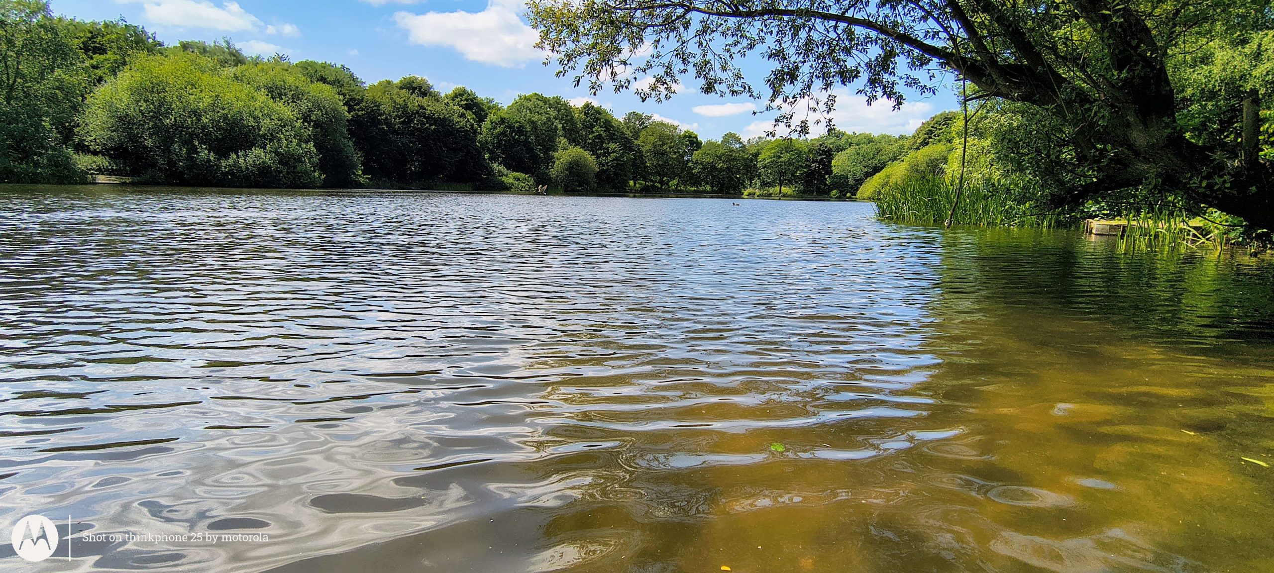 ThinkPhone 25   Review.