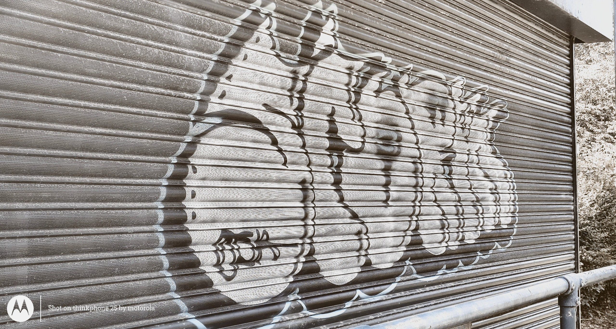 ThinkPhone 25   Review.