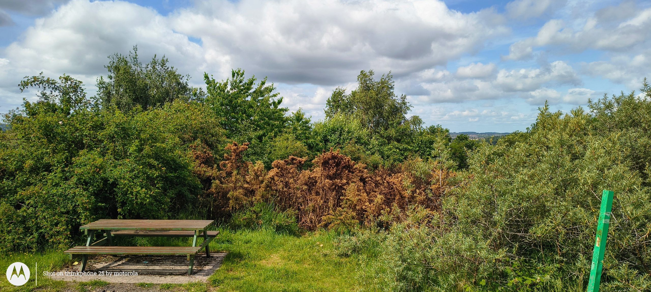 ThinkPhone 25   Review.