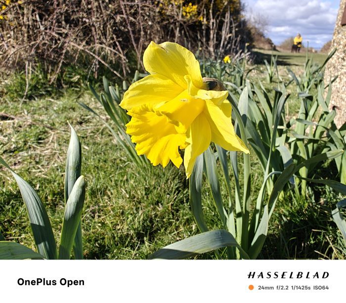 Camera comparison Oppo Find N5 vs OnePlus Open