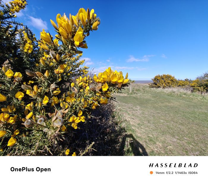 Camera comparison Oppo Find N5 vs OnePlus Open