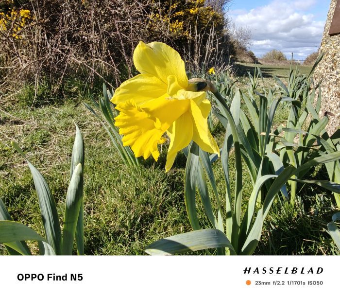 Camera comparison Oppo Find N5 vs OnePlus Open