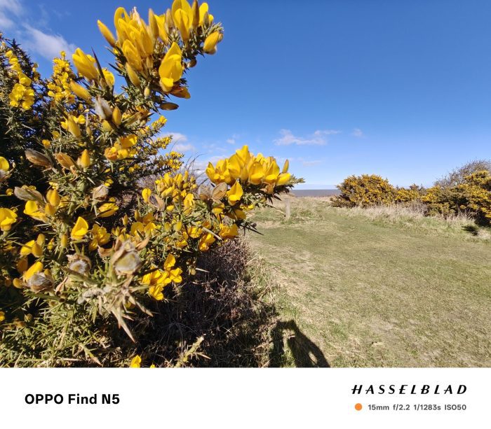 Camera comparison Oppo Find N5 vs OnePlus Open