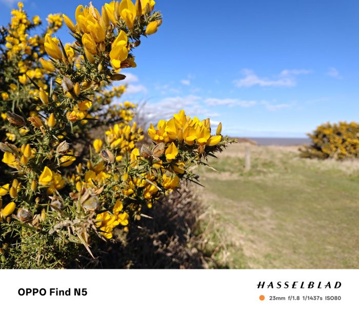 Oppo Find N5 Review   Is it a keeper?