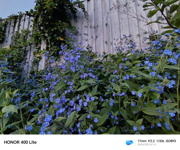 Honor 400 Lite   Review