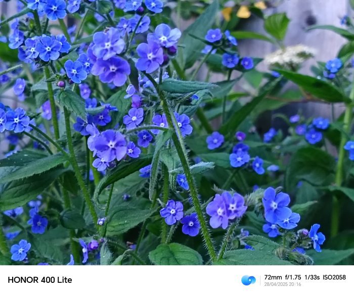 Honor 400 Lite   Review