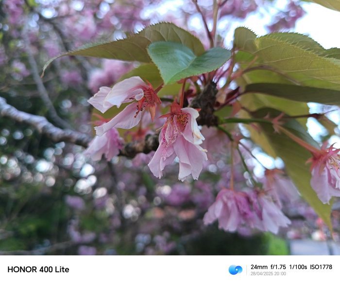 Honor 400 Lite   Review