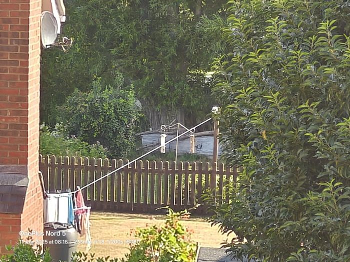 OnePlus Nord 5   Review