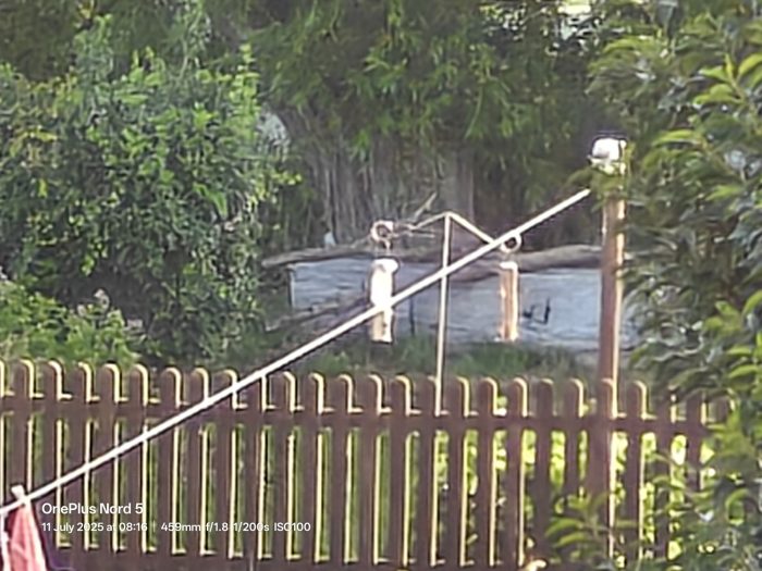 OnePlus Nord 5   Review