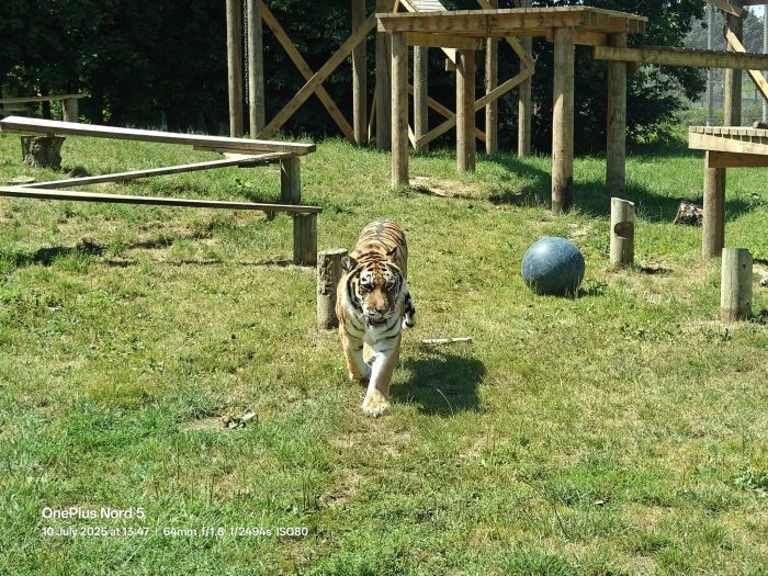 OnePlus Nord 5   Review