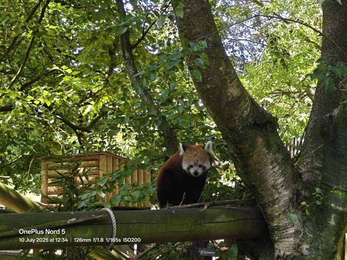 OnePlus Nord 5   Review