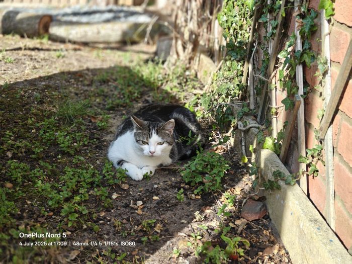 OnePlus Nord 5   Review