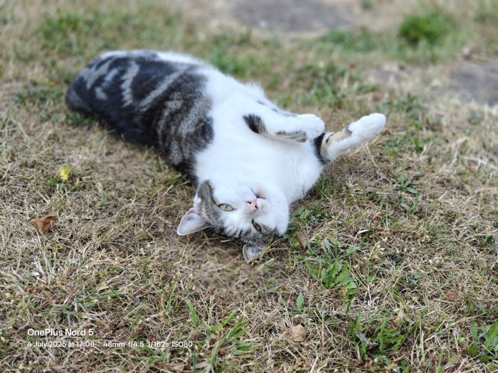 OnePlus Nord 5   Review