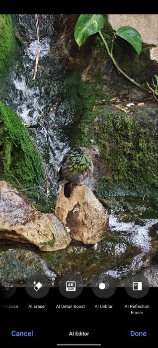 OnePlus Nord 5   Review