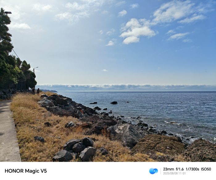 Honor Magic V5   Review