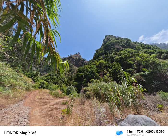 Honor Magic V5   Review