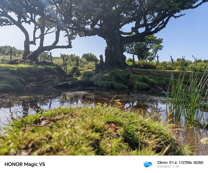 Honor Magic V5   Review