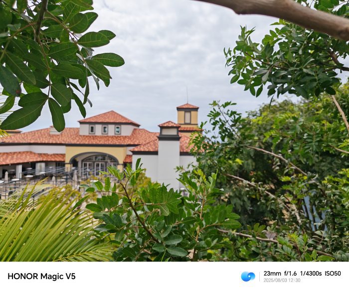 Honor Magic V5   Review